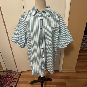 Blue Striped Ladies Shirt